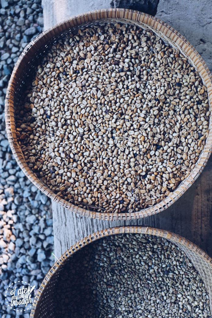 Luwak coffee beans before and after they're washed