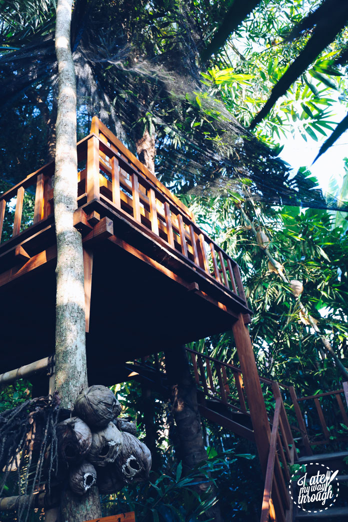 Treehouse tea & coffee tasting