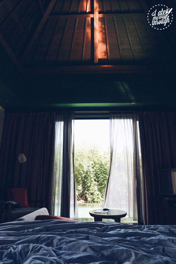 My view every morning