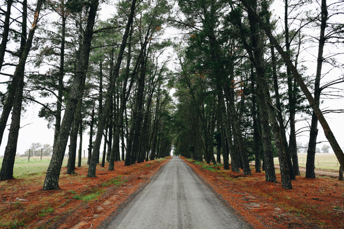 Eden Road Wines