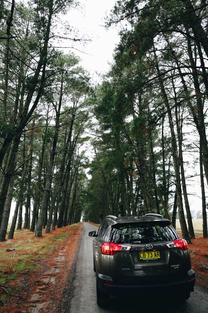 Eden Road Wines
