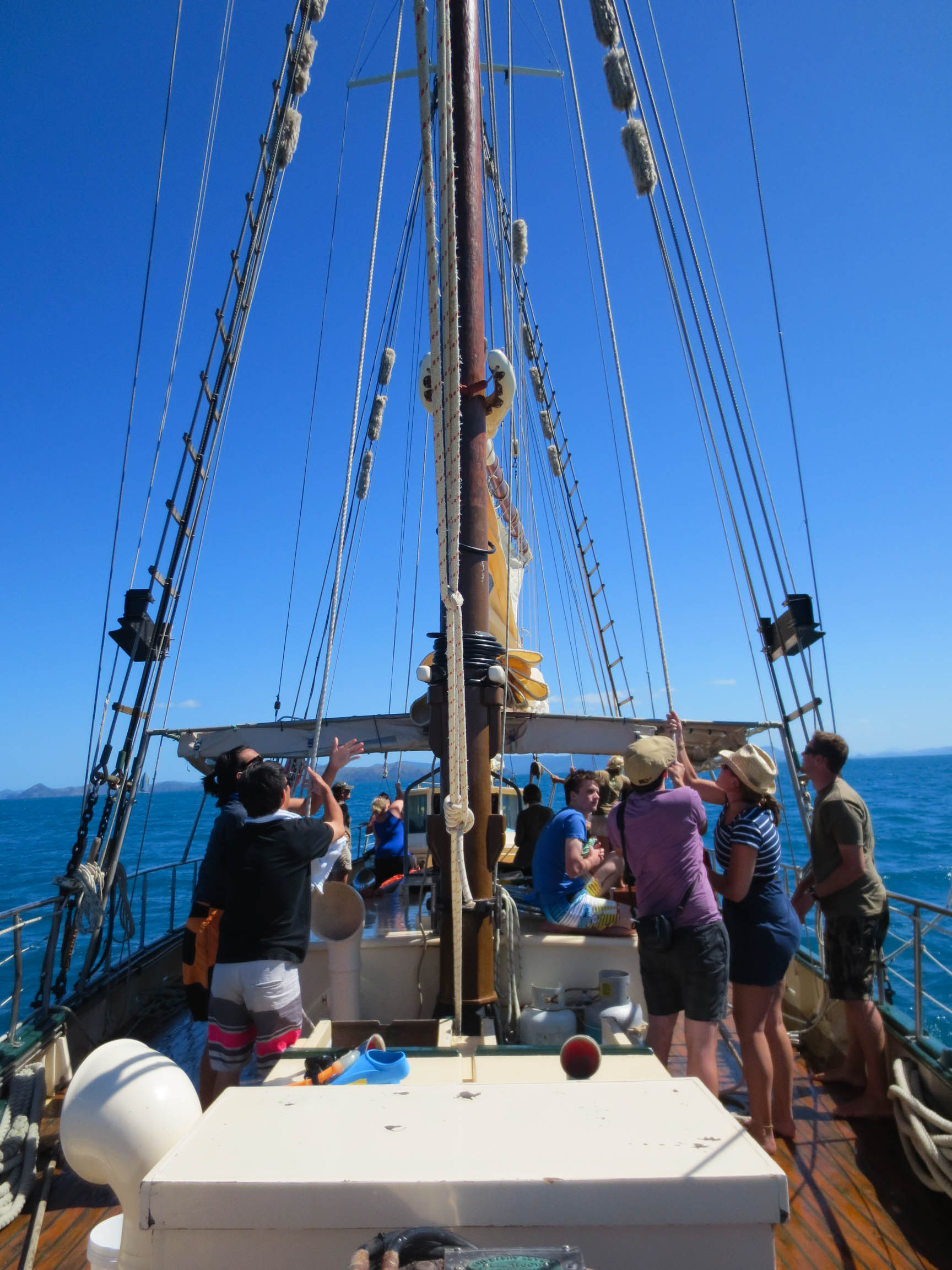 Derwent Hunter