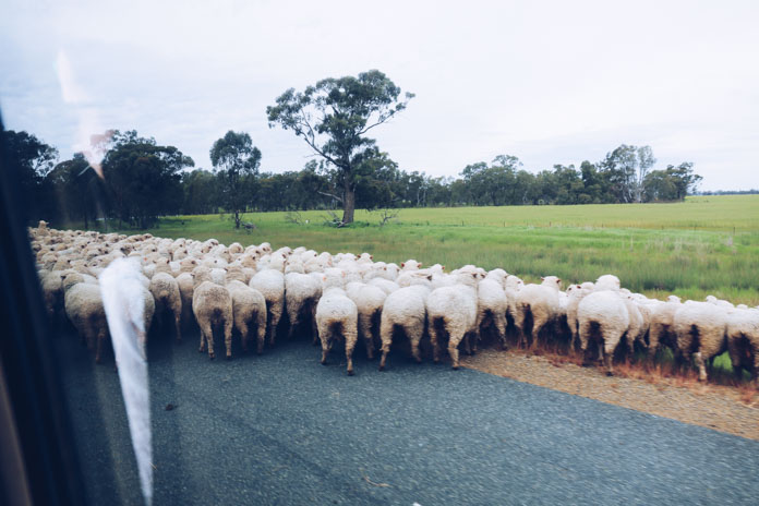 Traffic jams in the country