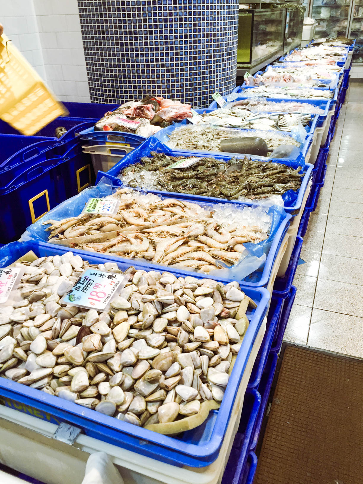 Fresh live pippies at the fish market
