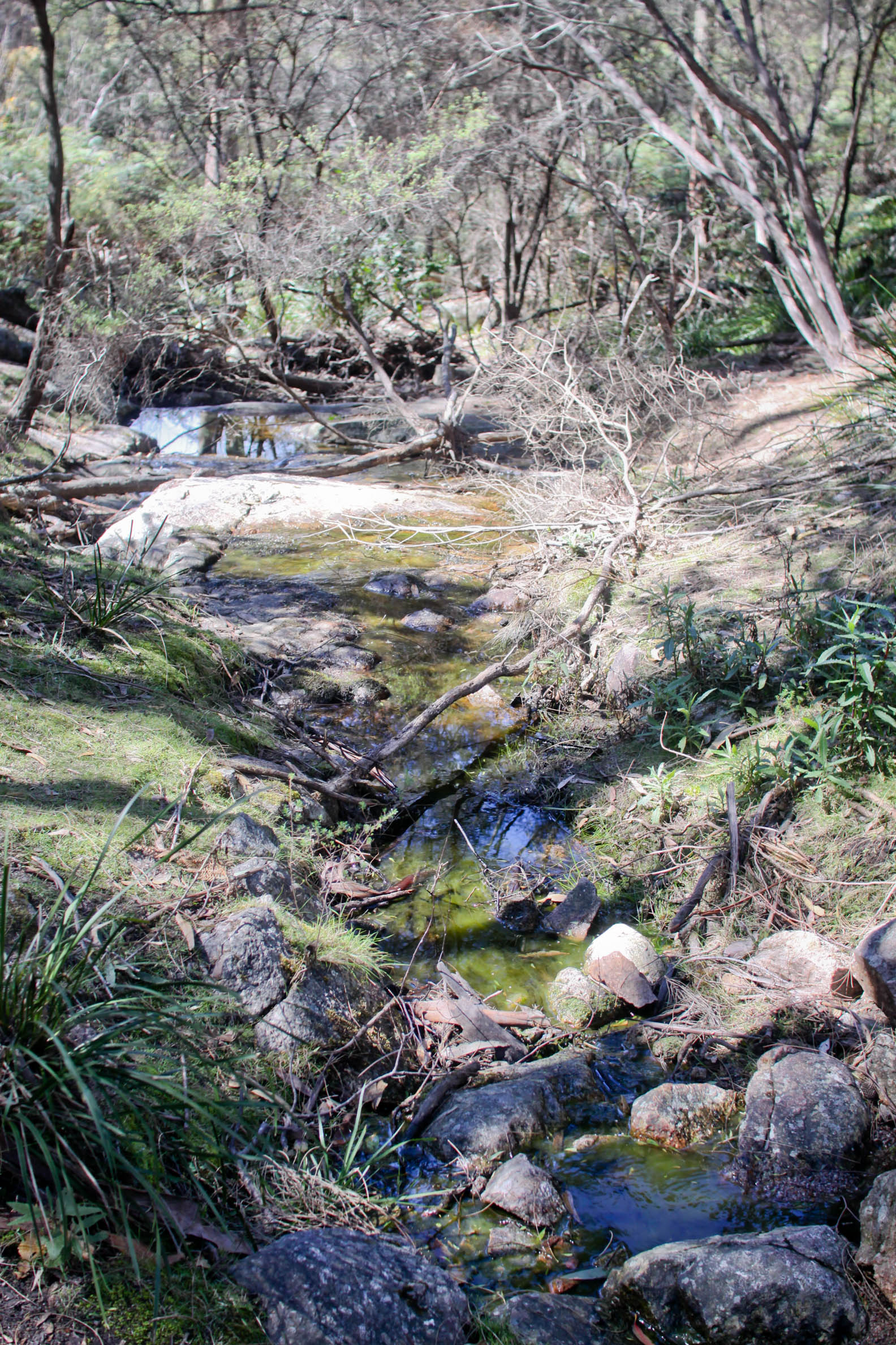Wineglass to Wine Glass experience - Freycinet National Park, East Coast Tasmania - creek