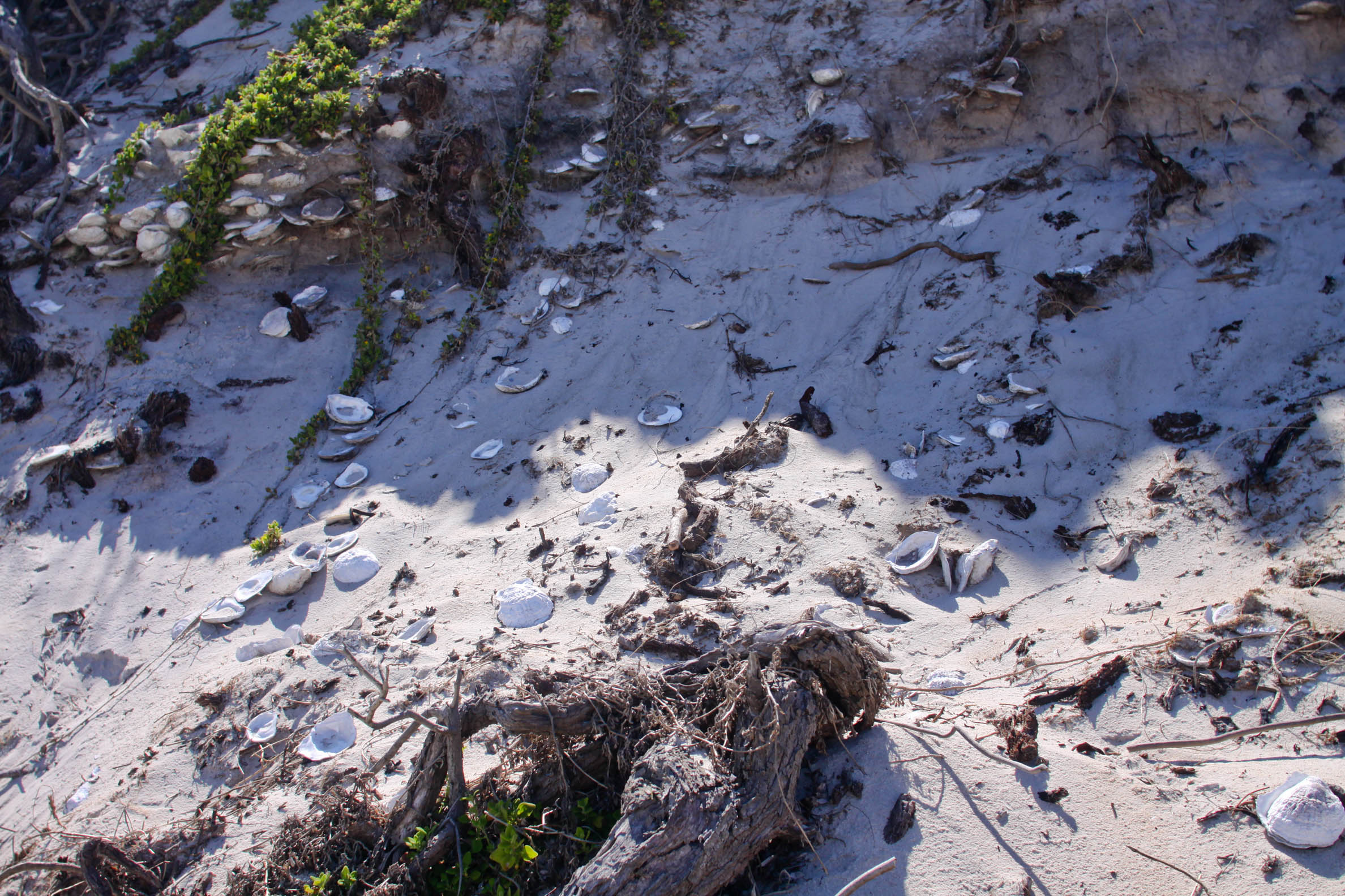Wineglass to Wine Glass experience - Freycinet National Park, East Coast Tasmania - middens