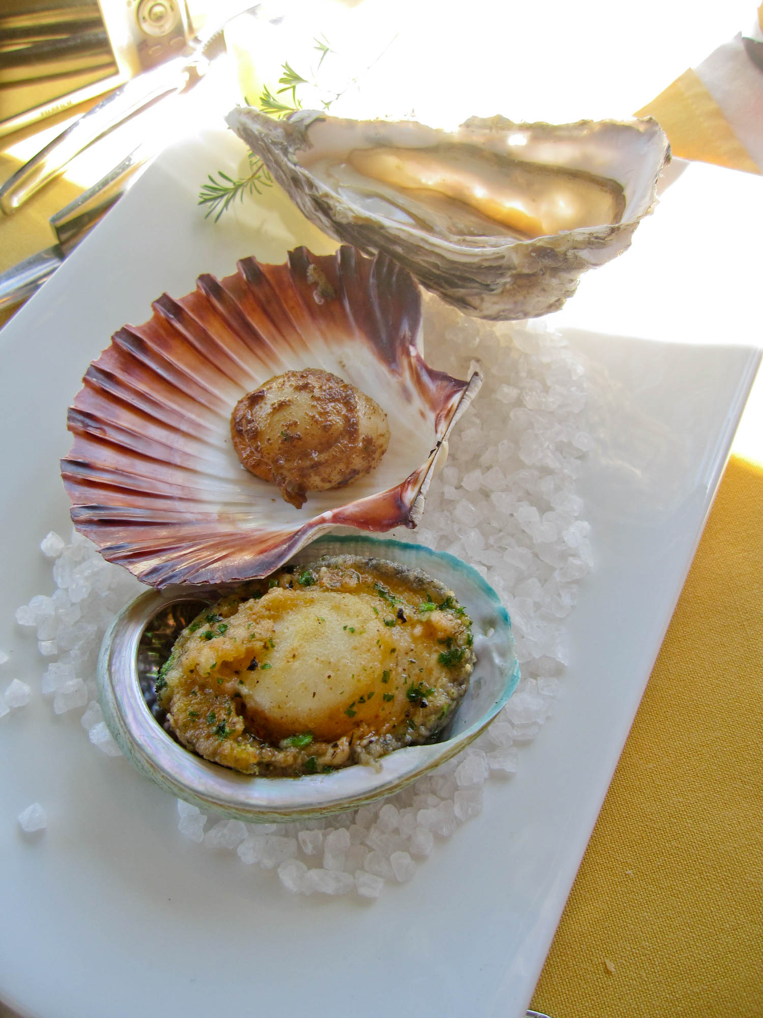 Wineglass to Wine Glass experience - Freycinet National Park, East Coast Tasmania - starter of baby abalone, scallop and oyster