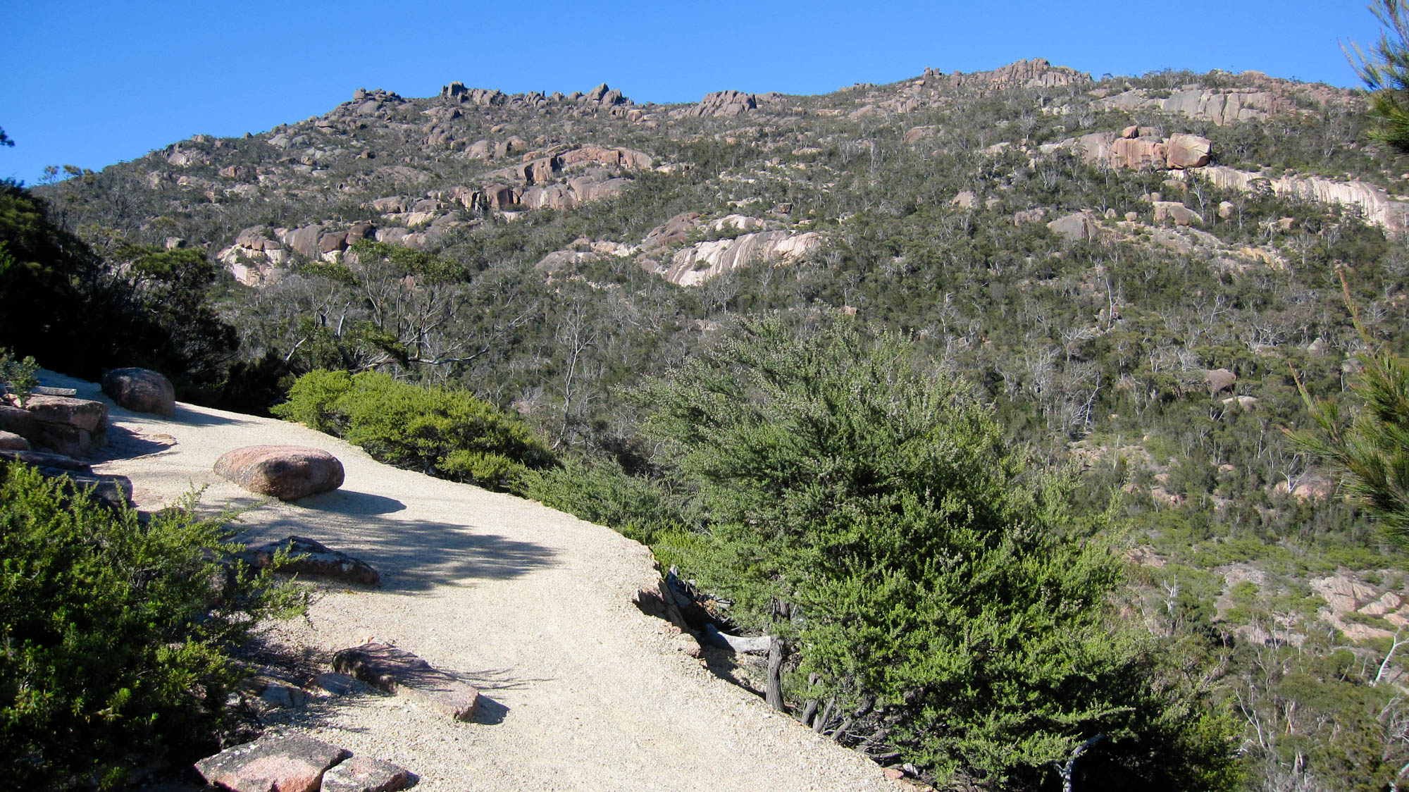 Wineglass to Wine Glass experience - Freycinet National Park, East Coast Tasmania - bushland